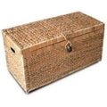 Coffre de Rangement Style Moderne et Polyvalent